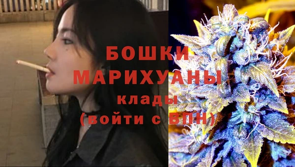 молекула духа Богородицк