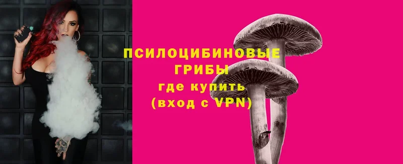 Псилоцибиновые грибы мухоморы  купить  сайты  mega ТОР  Кирсанов 