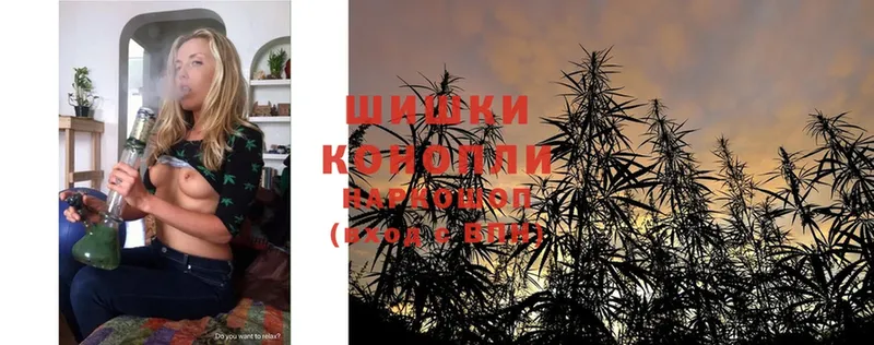 кракен вход  это телеграм  Шишки марихуана White Widow  купить  цена  Кирсанов 